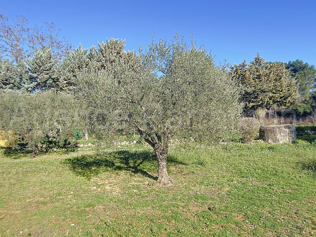 Maison-Villa - SANARY SUR MER